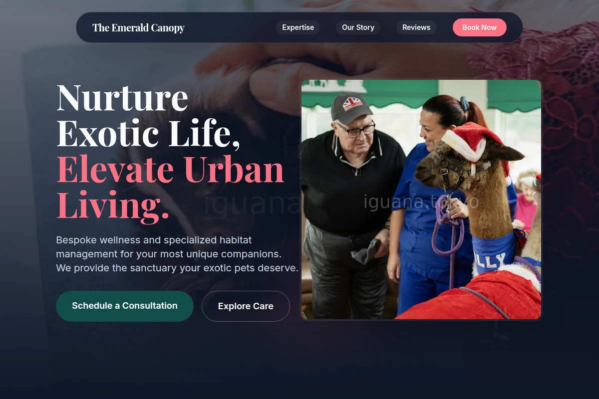 Vivid Animal Care