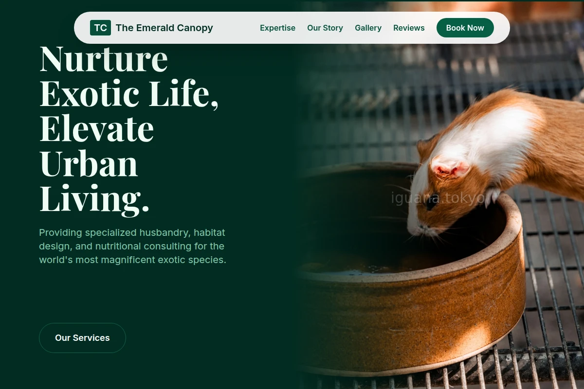 Moss Animal Care