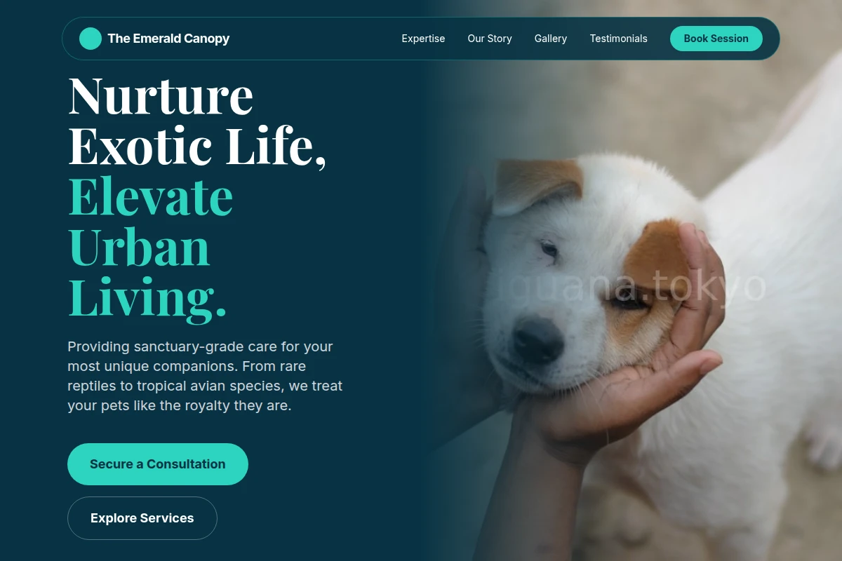Vivid Animal Care