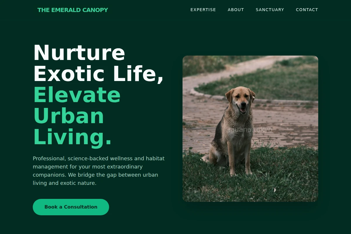 Bold Animal Care