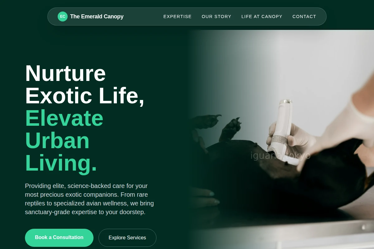 Vine Animal Care