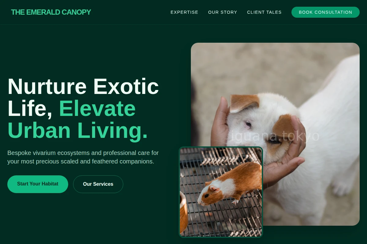 Terrarium Animal Care