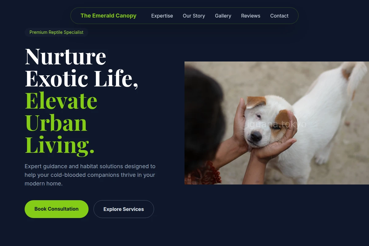 Reptile Animal Care