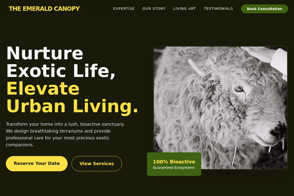 Terrarium Animal Care
