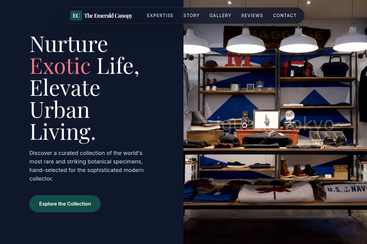 Collector Boutique