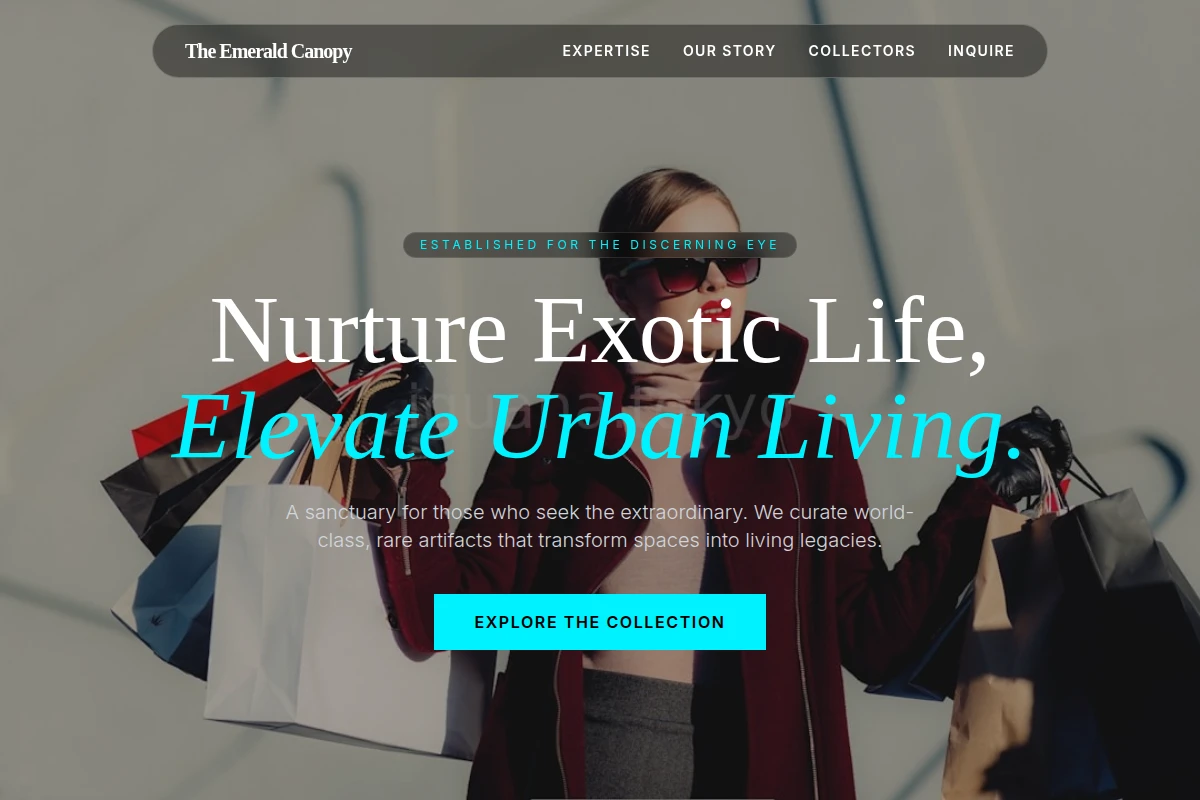 Collector Boutique