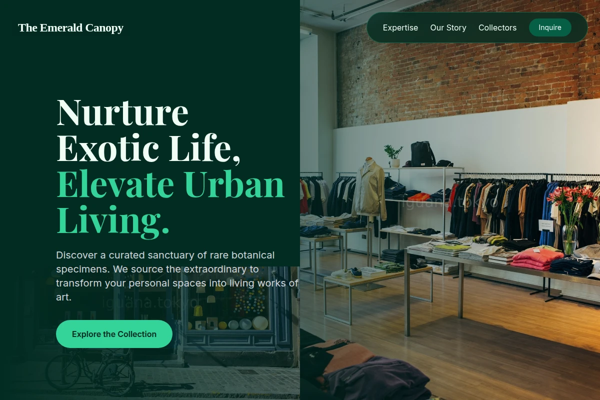 Collector Boutique