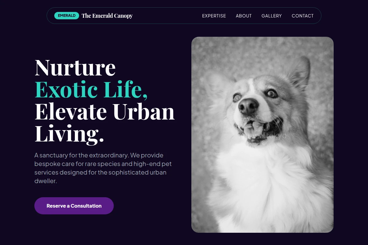 Lush Pet Services