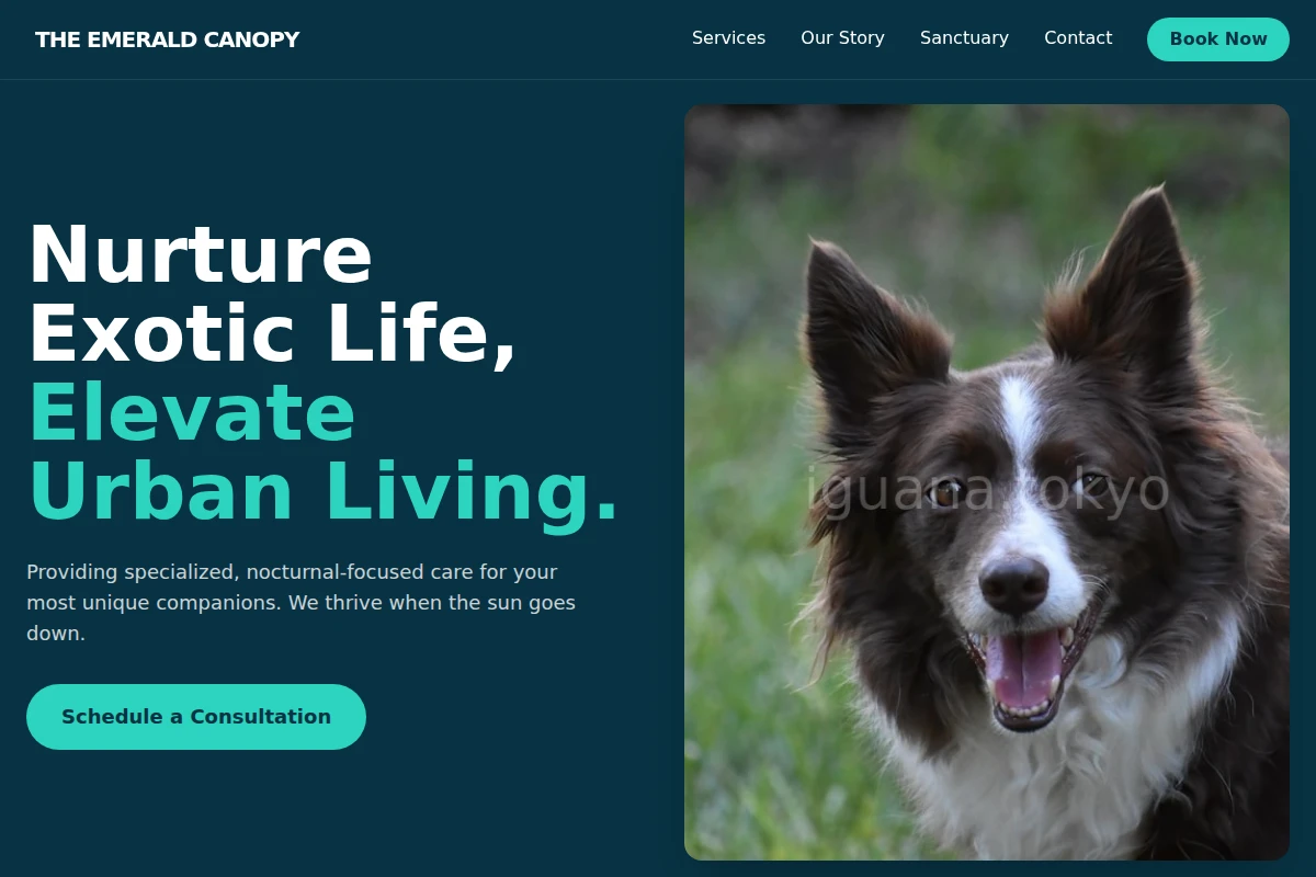 Nocturnal Pet Services