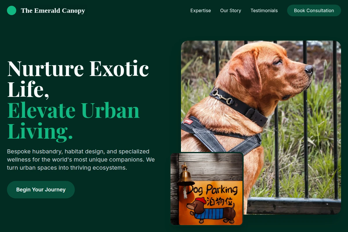 Collector Pet Services
