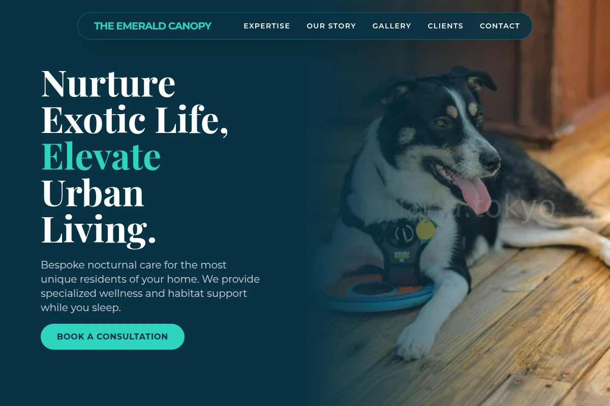 Nocturnal Pet Services