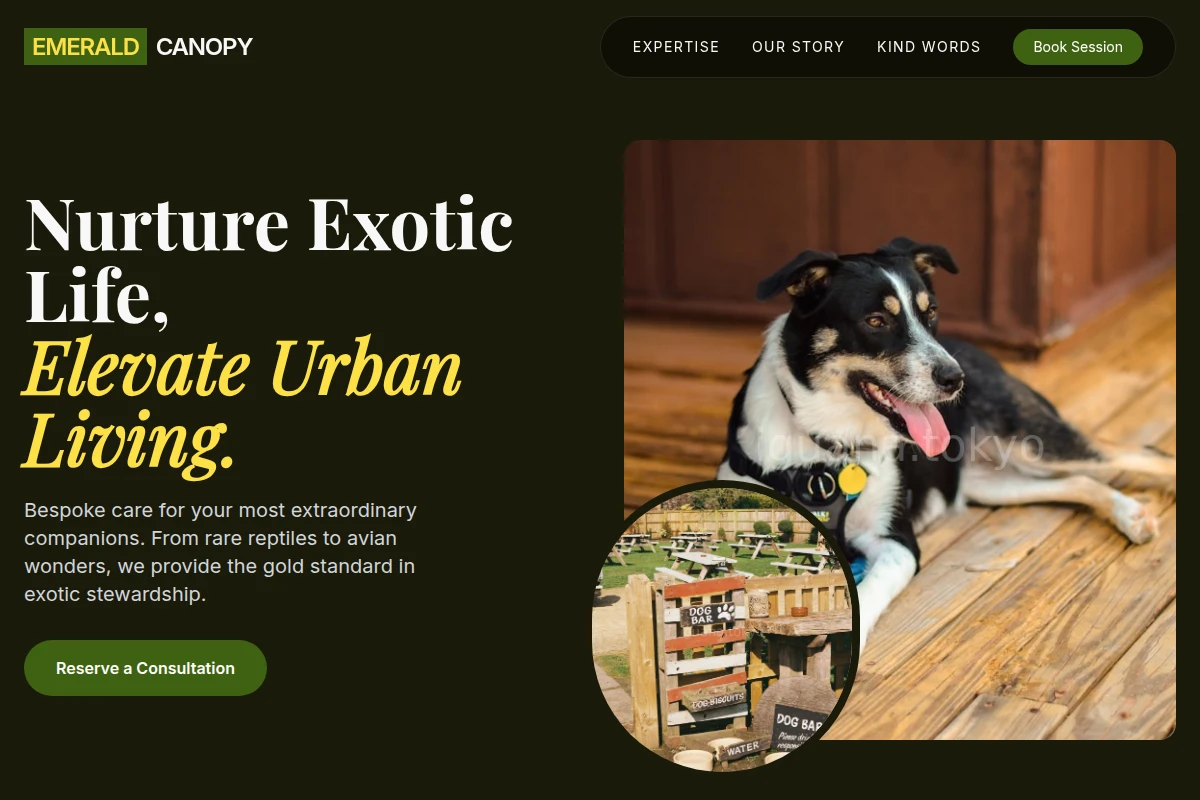 Bold Pet Services