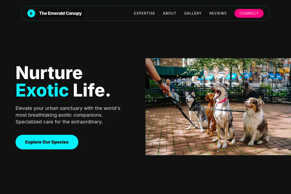 Vivid Pet Shop