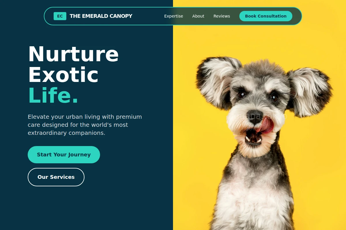 Bold Pet Shop