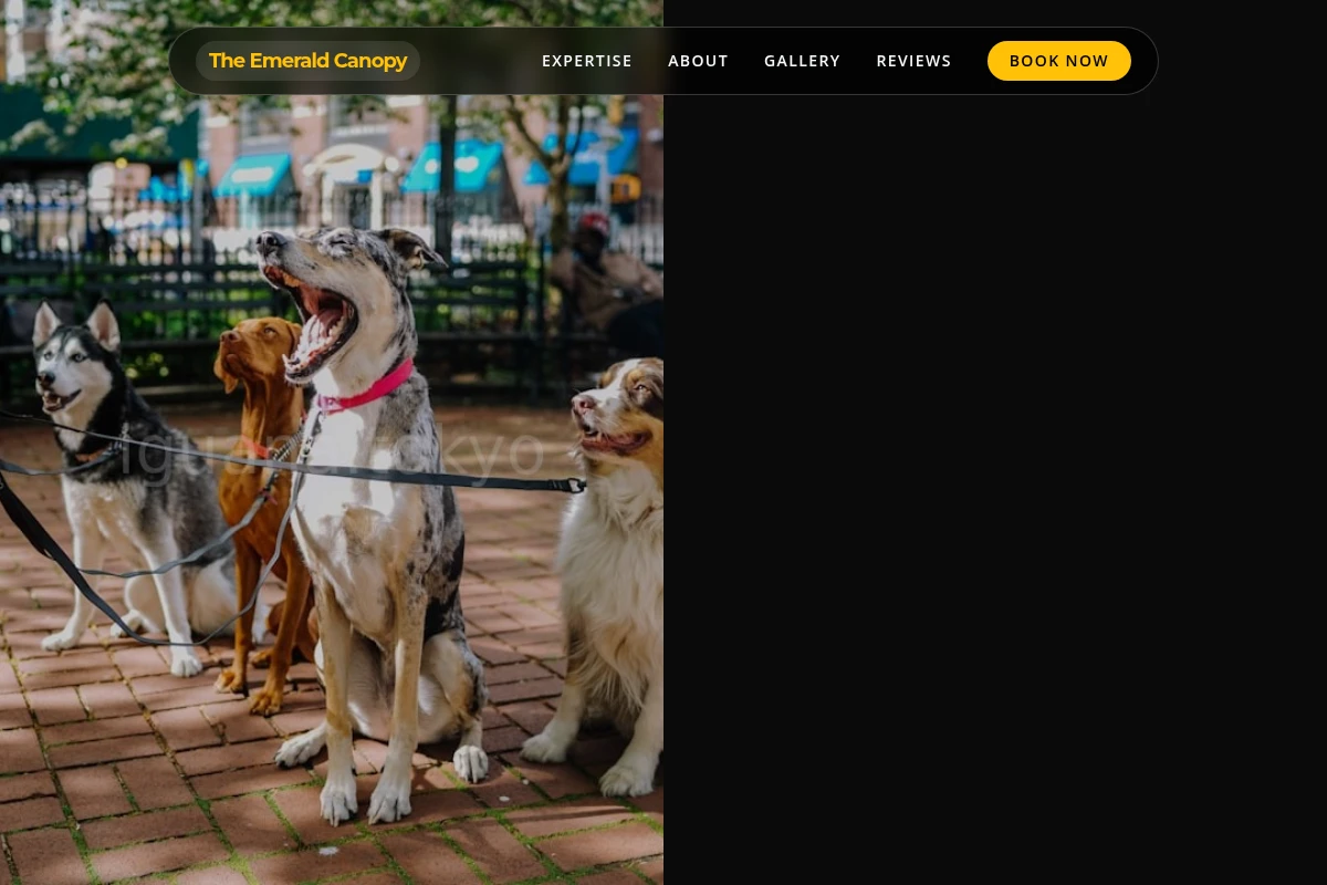 Vivid Pet Shop