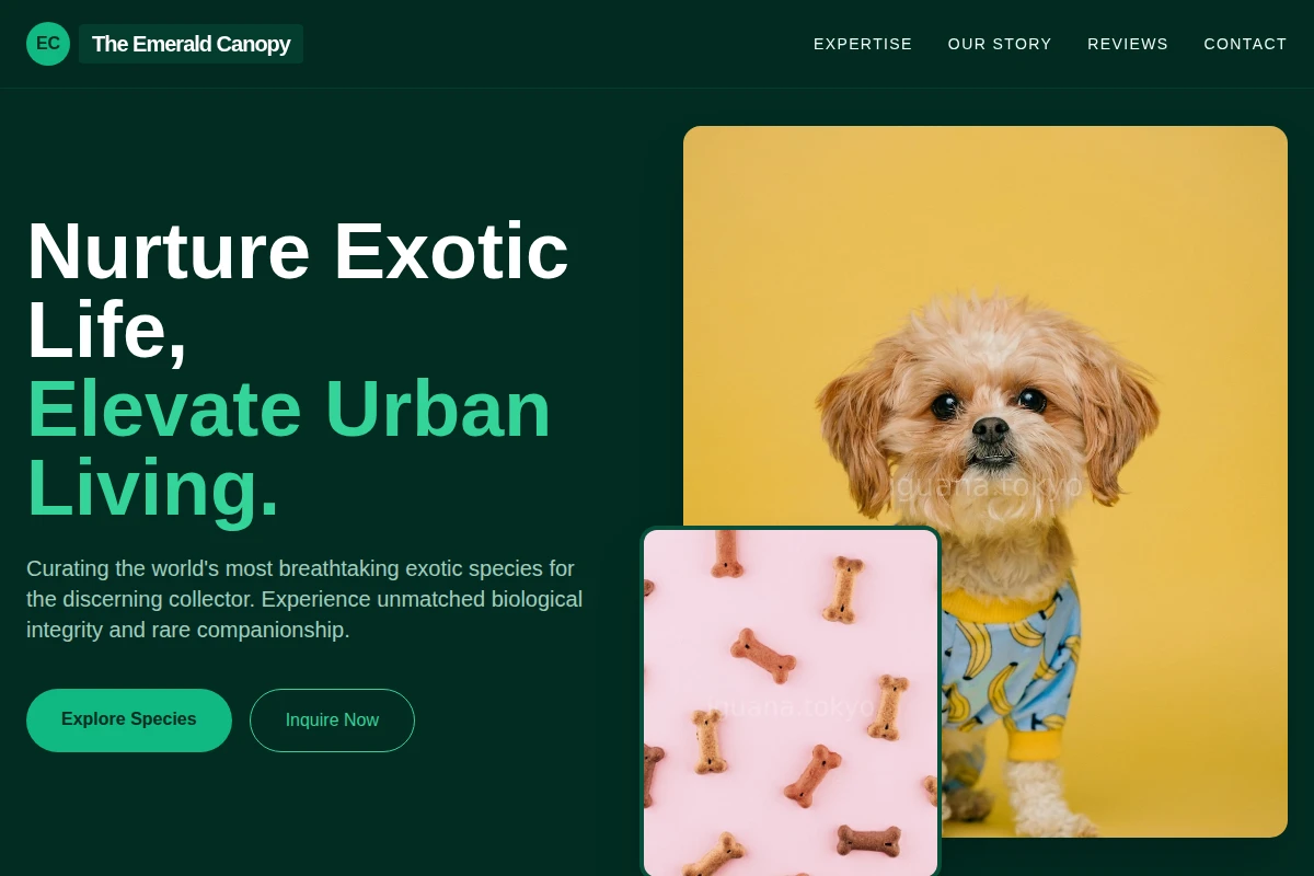 Collector Pet Shop