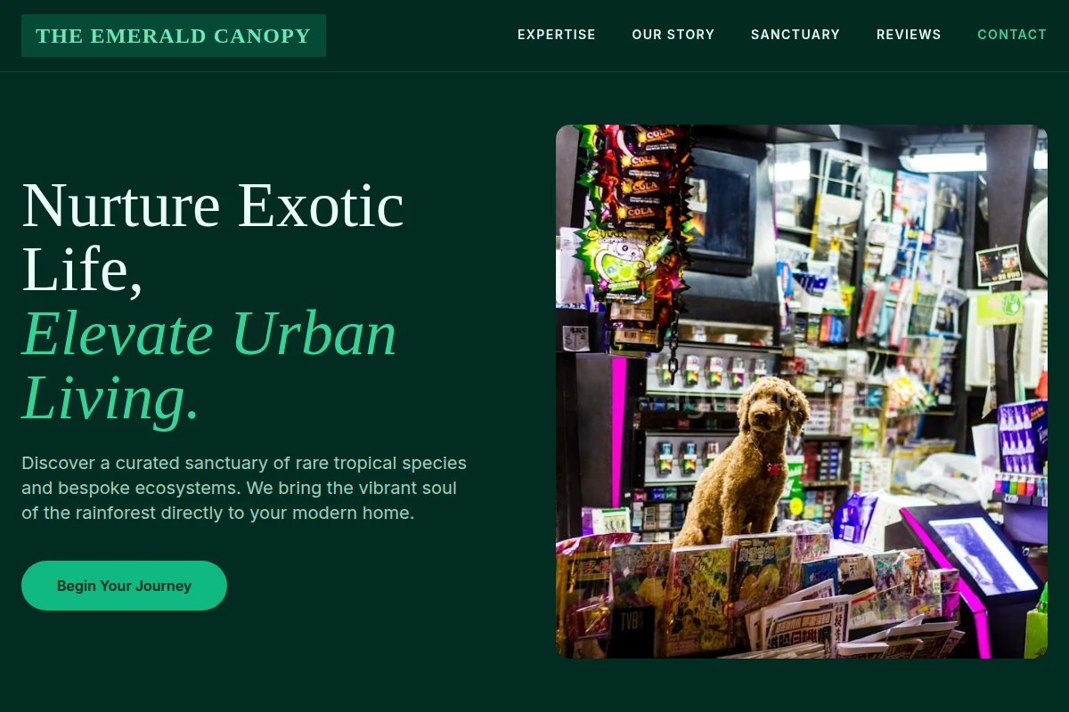 Rainforest Pet Shop